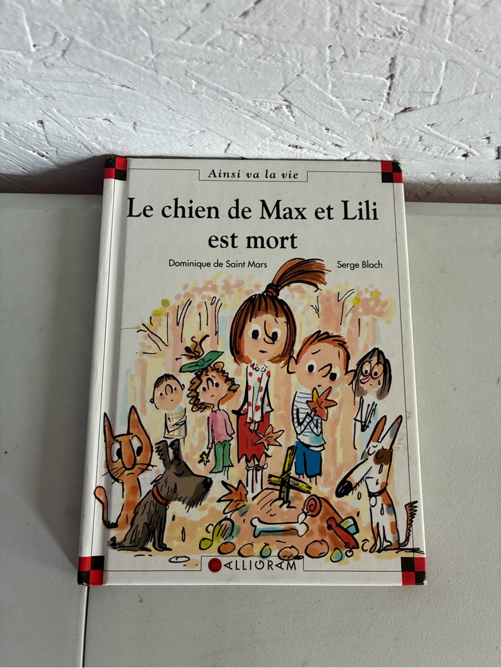 Le chien de Max et Lili est mort - White Illustrated Kids Book